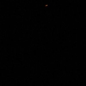 Meet your Posher, Ally